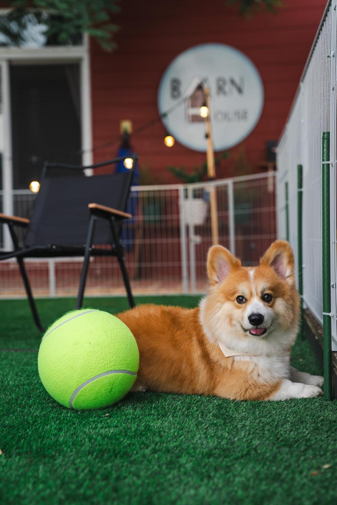 Pong TalongBarn House Pet Friendly别墅 外观 照片