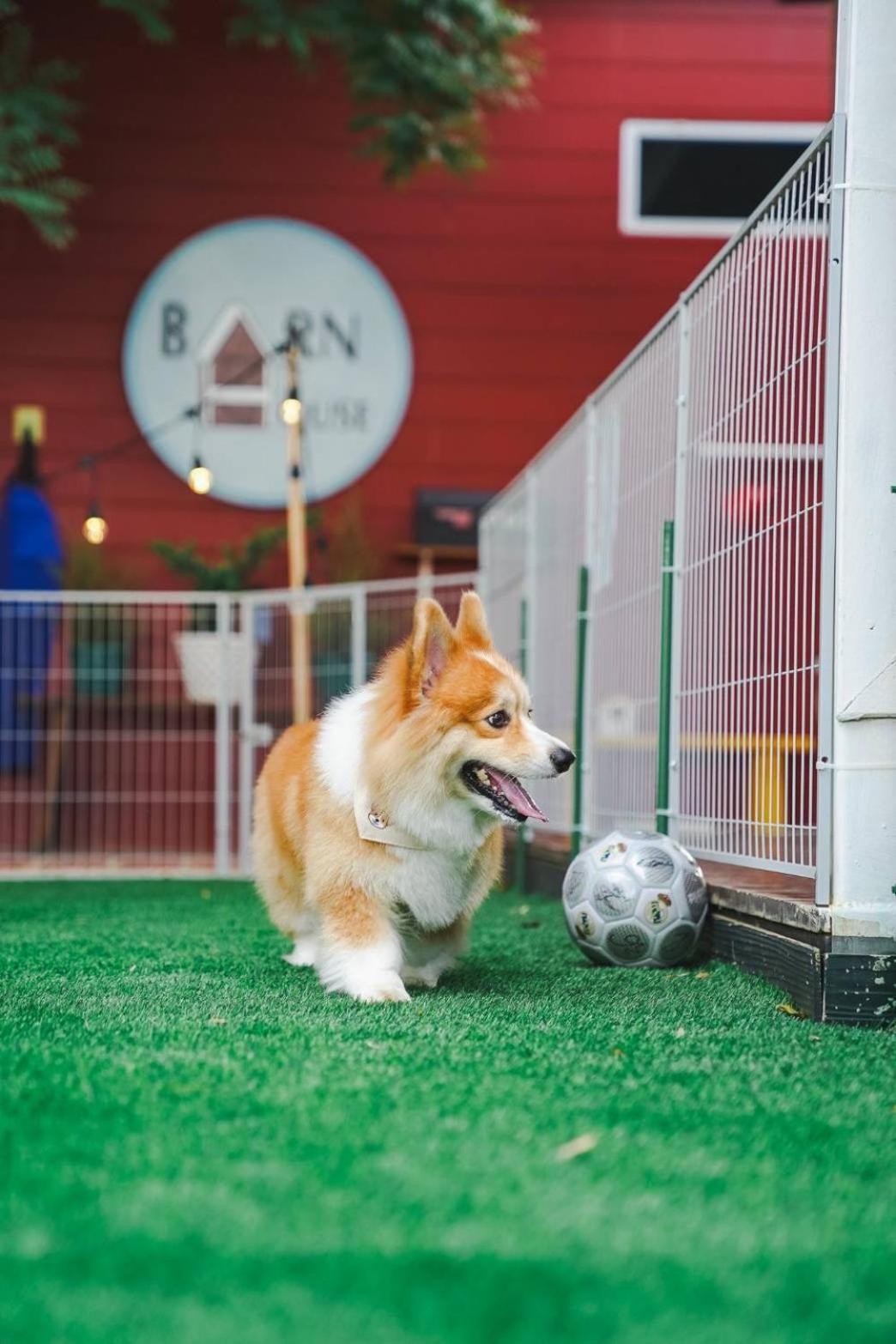 Pong TalongBarn House Pet Friendly别墅 外观 照片