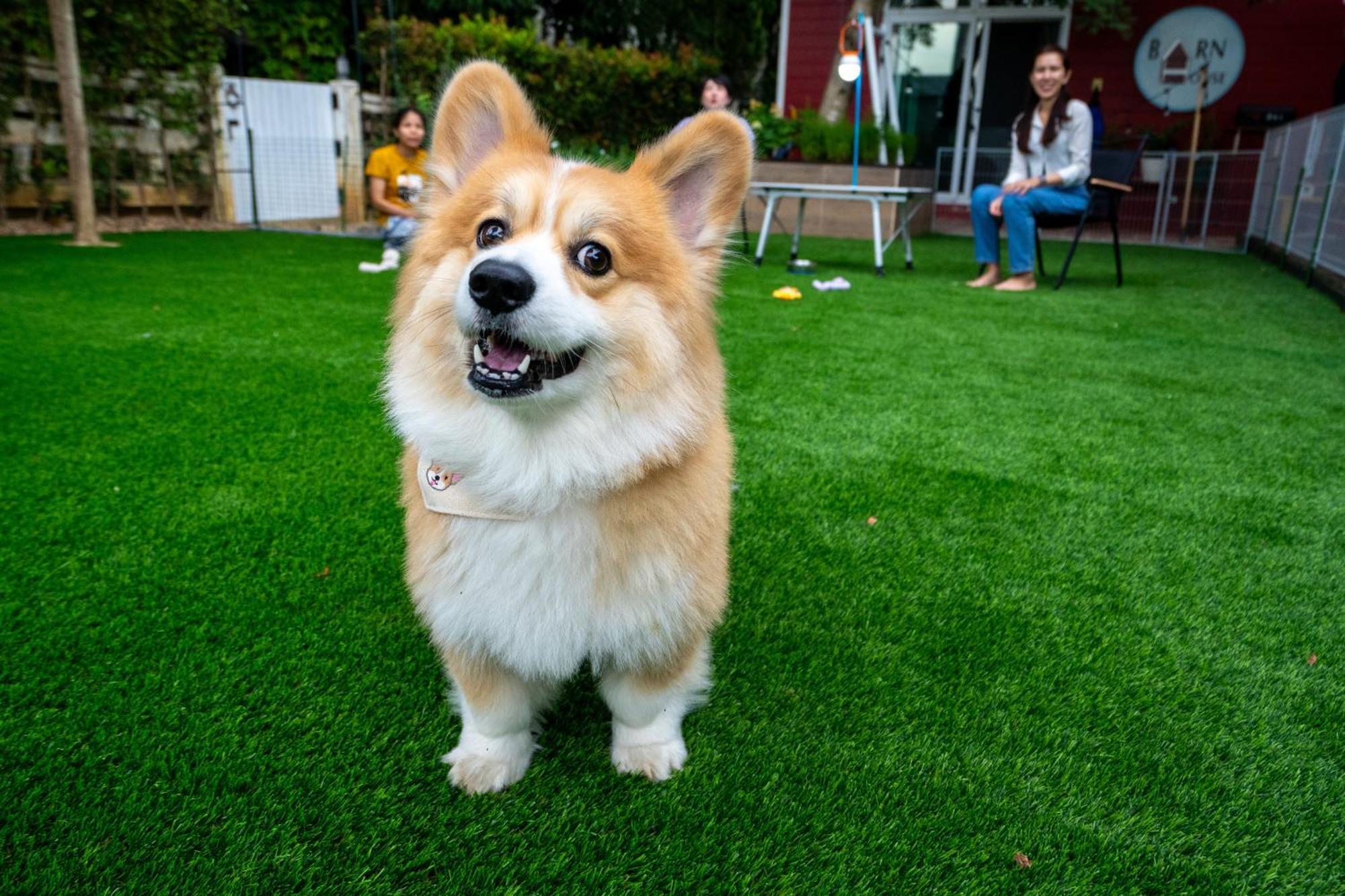 Pong TalongBarn House Pet Friendly别墅 外观 照片